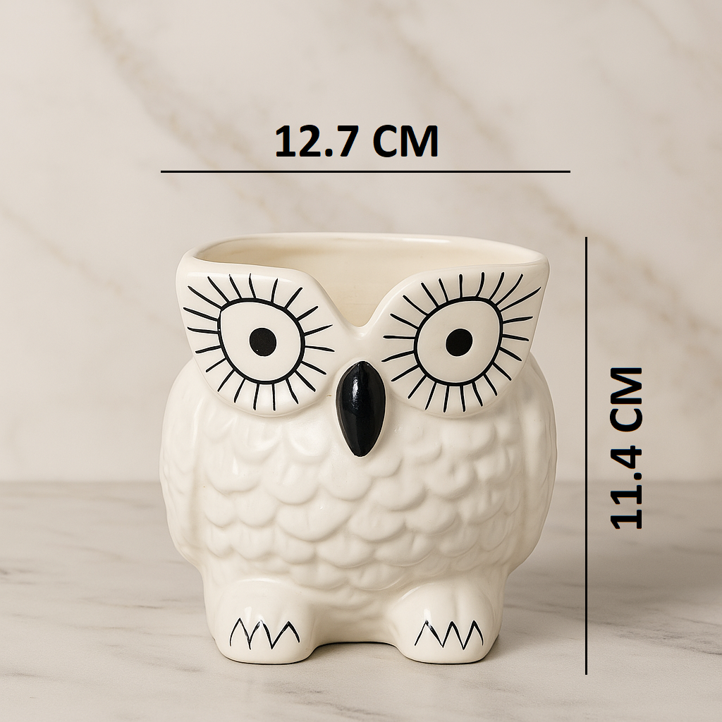 Cute Owl Planter Pot for Home Décor & Office Desk, Indoor and Outdoor