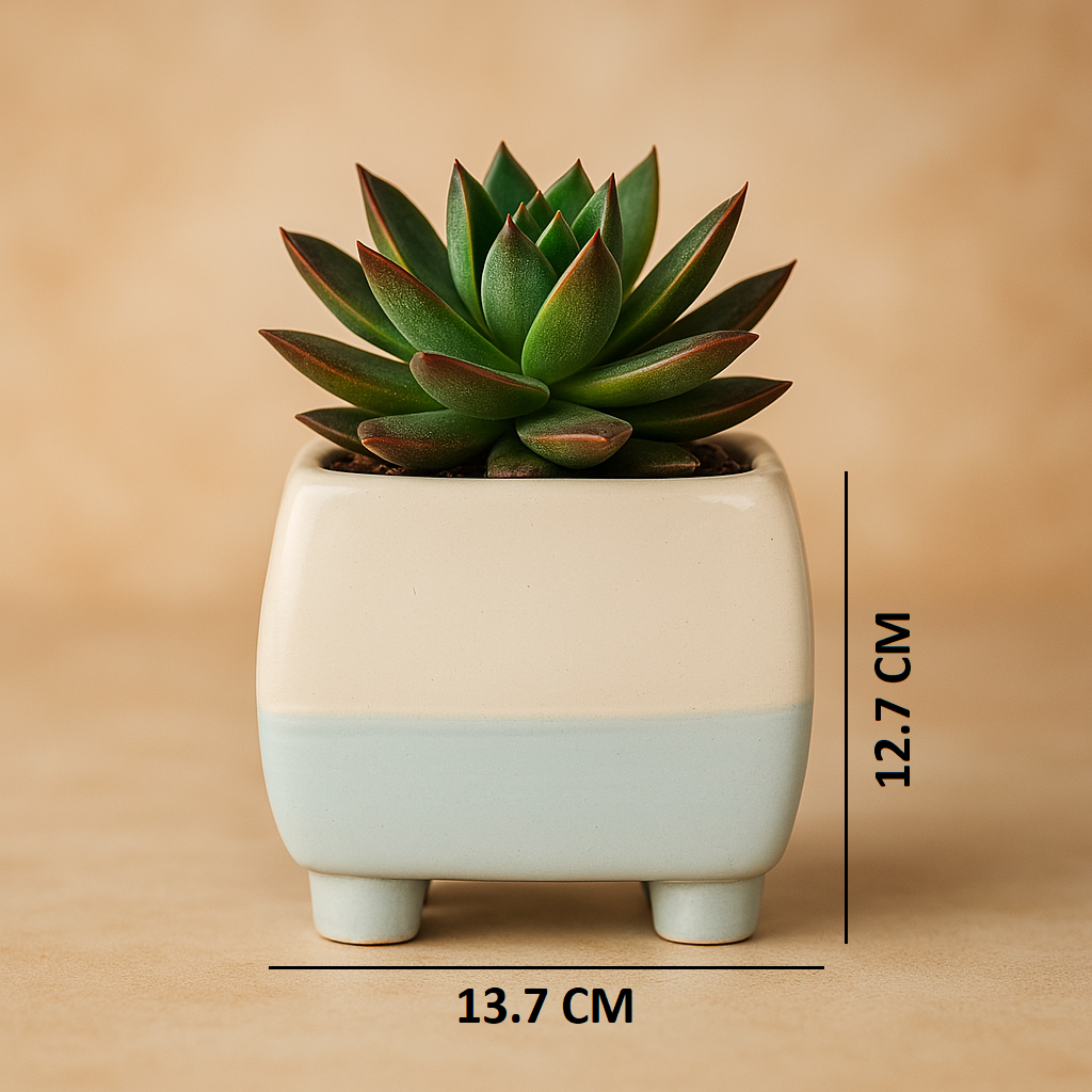Modern Square Ceramic Planter Pot with Legs