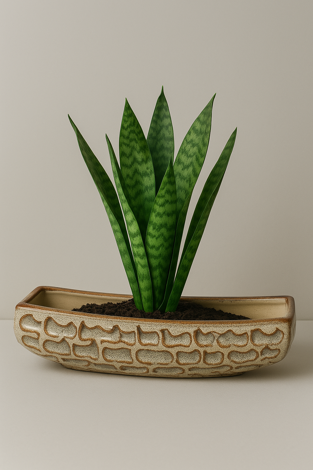 Modern Textured Canoe Ceramic Planter – Sandstone Finish for Home Decor Ceramic Pot