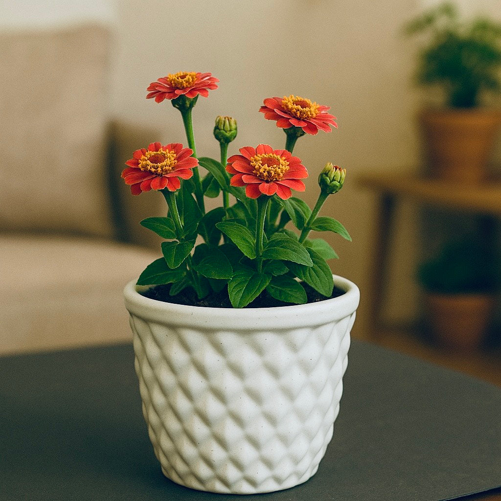 Diamond Shape Flower Planter Pot for Indoor and Outdoor - White