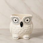 Cute Owl Planter Pot for Home Décor & Office Desk, Indoor and Outdoor