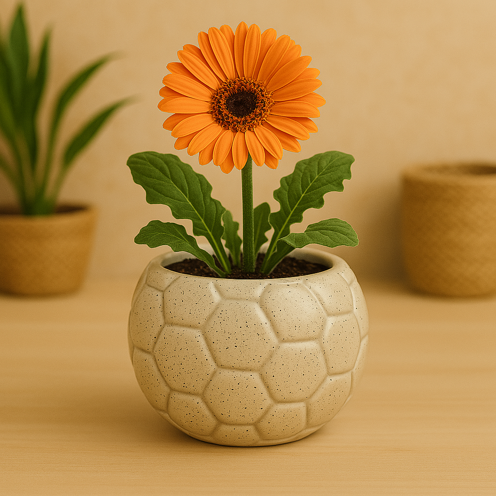 Football Shape Hexagon Textured Ceramic Flower Planter- Cream