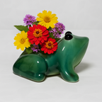 Cute Frog Shaped Ceramic Planter Pot – Indoor/Outdoor Decorative Planter for Small Plants