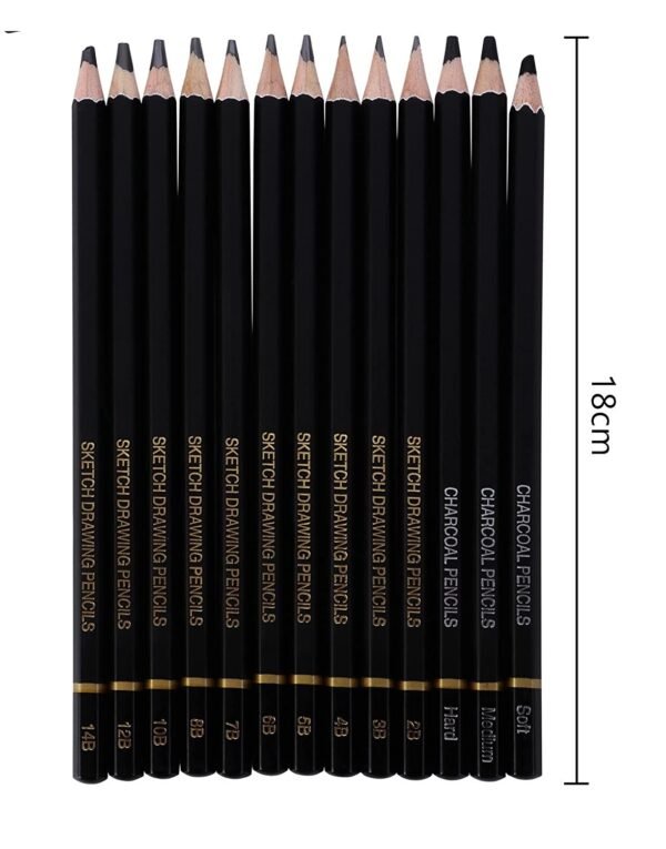 24 Pcs Professional Drawing And Sketching Pencil Set For Artists - Image 2
