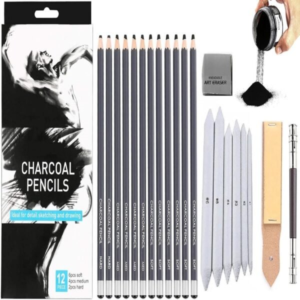 12 Pcs Charcoal Pencils for Sketching and Shading Combo Set with Charcoal Powder- 30 Gm