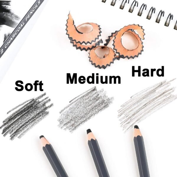 12 Pcs Charcoal Pencils for Sketching and Shading Combo Set with Charcoal Powder- 30 Gm - Image 2