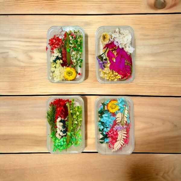 Dry Flowers Set Box for Resin Art- Assorted Design (Only 1 Pcs)