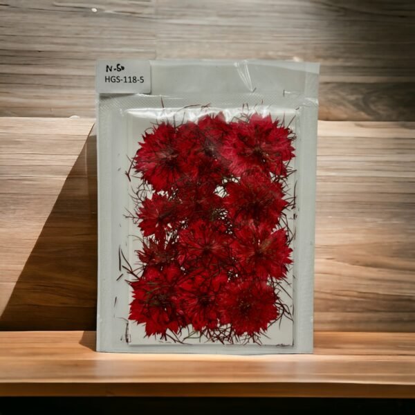 Dried Pressed Flowers Set for DIY Crafts and Resin Art