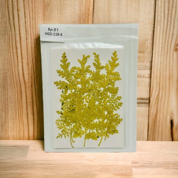 Dried Pressed Flowers Leaf Set for DIY Crafts and Resin Art- Yellow
